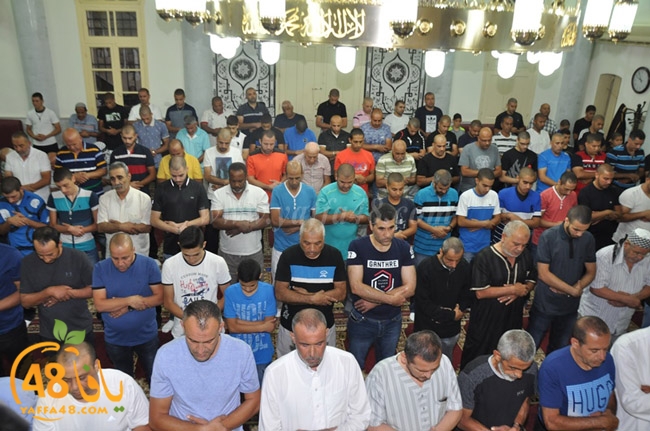 nozha mosqueqk (24).JPG